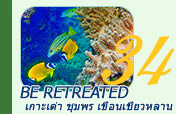 4วัน3คืน : Be retreated เกาะเต่า ชุมพร เขื่อนเชี่ยวหลาน