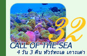 4วัน3คืน : Call of the Sea: เกาะเต่า