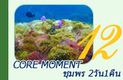 Core Moment ชุมพร 2วัน1คืน
