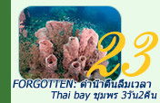3วัน2คืน Forgotten ดำน้ำตื้น ลืมเวลา