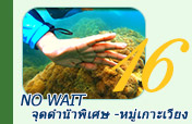 No wait. ทัวร์วันเดียว หมู่เกาะเวียง จุดดำน้ำพิเศษ