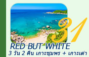 Red but White: ชุมพร เกาะเต่า