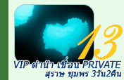 VIP ดำน้ำ เขื่อน private สุราษ ชุมพร 3วัน2คืน