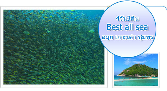 4วัน3คืน : Best all sea สมุย เกาะเต่า ชุมพร