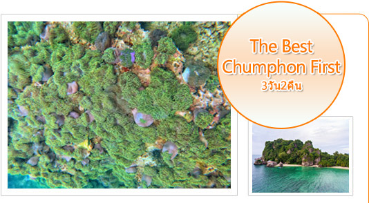 Chiangrai Concerns 3วัน2คืน